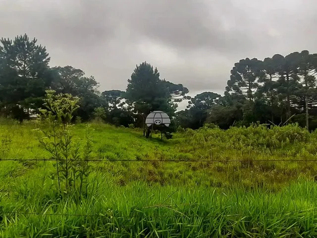 Imagem: Vendas Área Colombo Pr