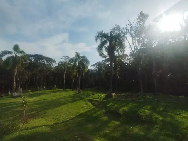 Imagem 6: Líquido Linda Chácara em Quatro Barras Torro