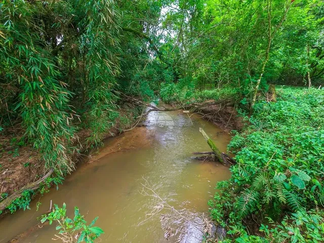 Imagem 10: Vendas Chácara Quitandinha Pr