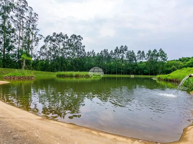 Imagem 16: Vendas Chácara Quitandinha Pr