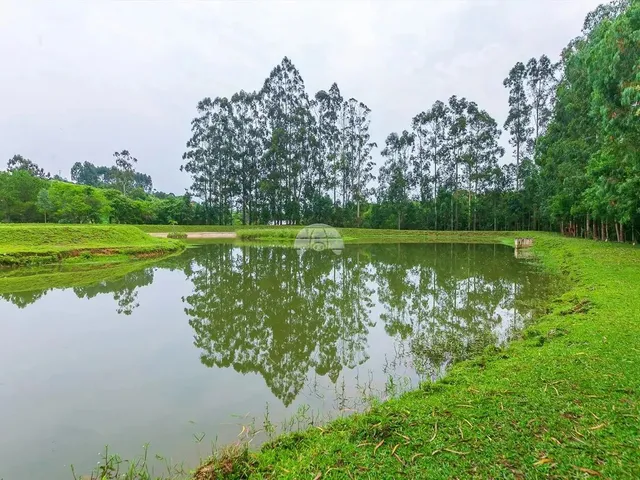 Imagem 9: Vendas Chácara Quitandinha Pr