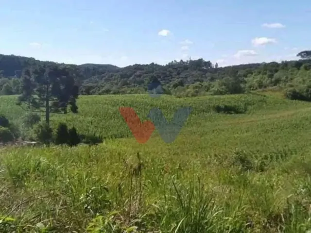 Imagem 1: Terreno para Chácara em Mandirituba 6.050 M Próximo À Br-116