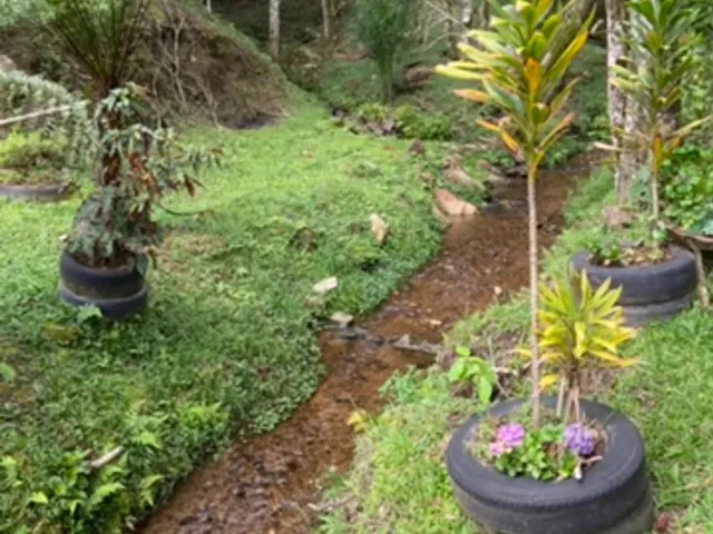 Imagem 3: Linda Chacara a Venda