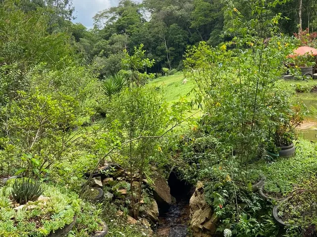 Imagem 5: Linda Chacara a Venda