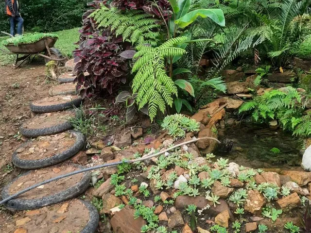 Imagem 8: Linda Chacara a Venda