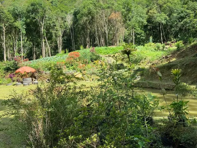 Imagem 9: Linda Chacara a Venda