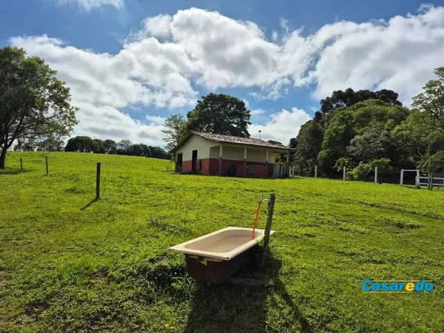 Imagem 2: Maravilhosa Chacara Tamanduá Balsa Nova 60.500 M