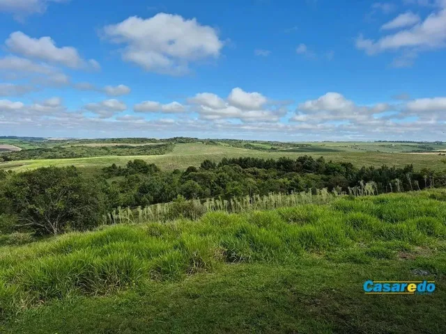 Imagem 7: Maravilhosa Chacara Tamanduá Balsa Nova 60.500 M