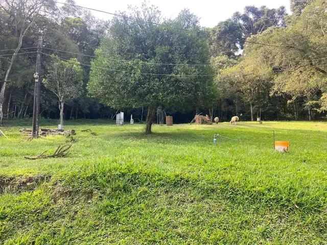 Imagem: Imóvel para Venda Possui 33719 Metros Quadrados
