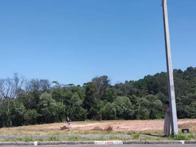 Imagem 7: Terreno À Venda - Campo Largo / Pr