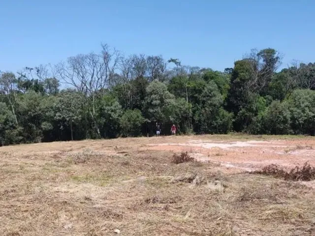 Imagem 8: Terreno À Venda - Campo Largo / Pr