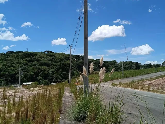 Imagem 5: Terreno À Venda - Campo Largo / Pr