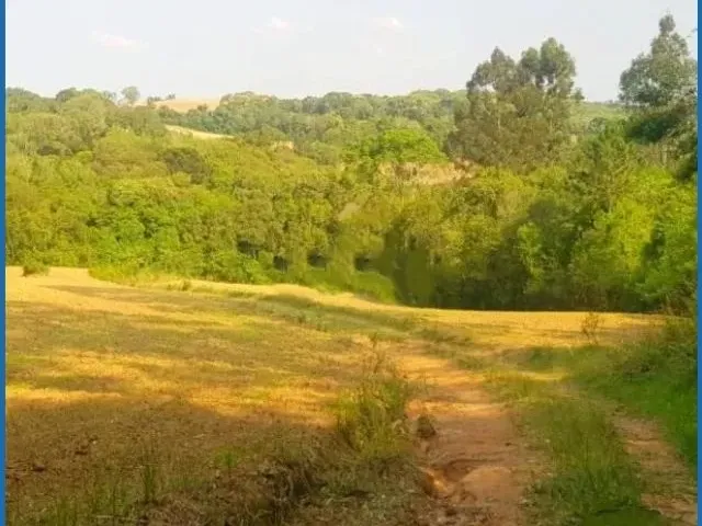 Imagem 5: Vendo Chácara - Terreno 2 Alqueires - Campo Largo