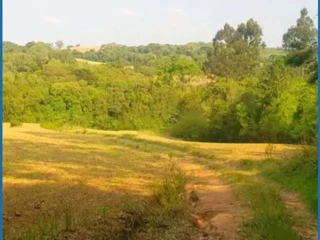 Imagem 11: Vendo Chácara - Terreno 2 Alqueires - Campo Largo