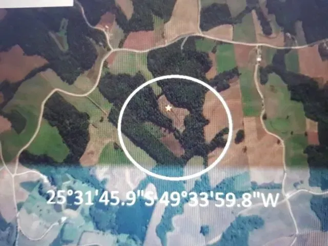 Imagem 4: Vendo Chácara - Terreno 2 Alqueires - Campo Largo