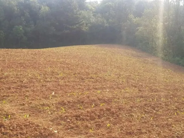 Imagem 8: Vendo Chácara - Terreno 2 Alqueires - Campo Largo