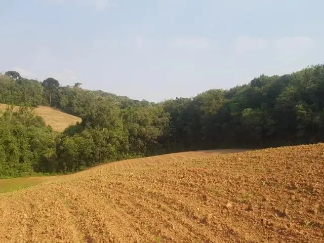Imagem 14: Vendo Chácara - Terreno 2 Alqueires - Campo Largo