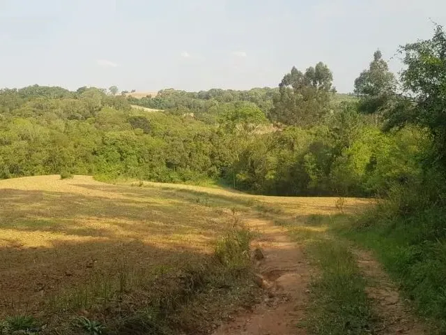 Imagem 13: Vendo Chácara - Terreno 2 Alqueires - Campo Largo