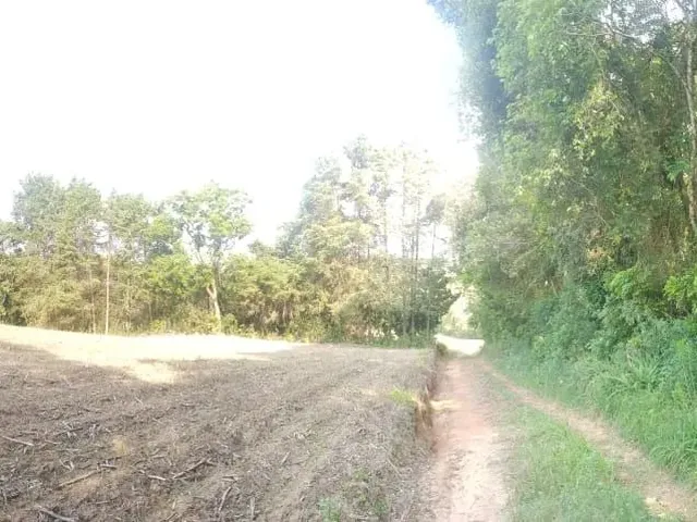 Imagem 10: Vendo Chácara - Terreno 2 Alqueires - Campo Largo