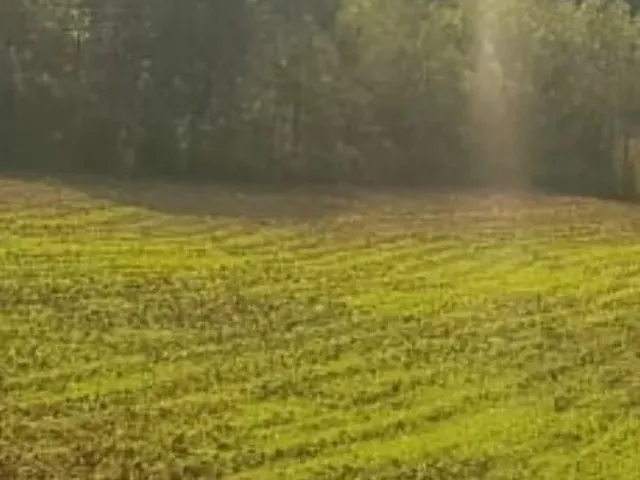 Imagem 6: Vendo Chácara - Terreno 2 Alqueires - Campo Largo