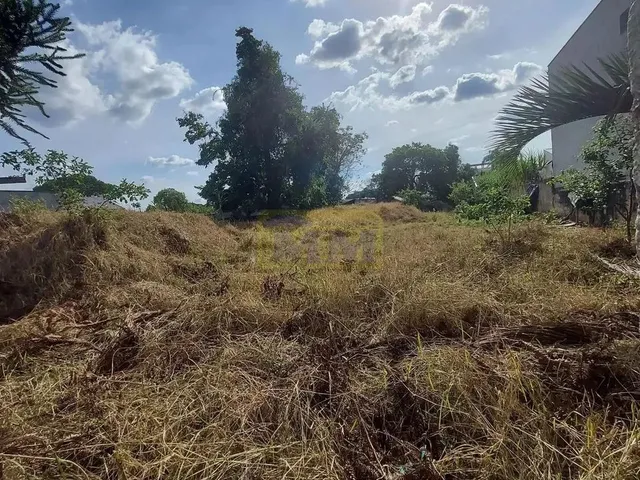 Imagem 2: Terreno de 1200 M² no Weissopolis - Pinhais/Pr