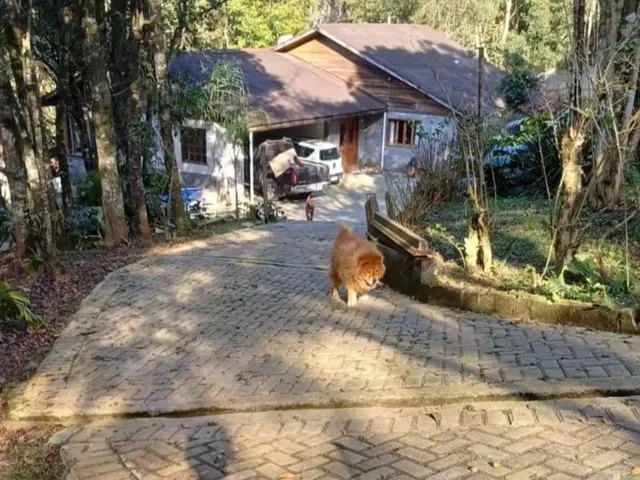 Imagem: Chácara em Sjp na Continuação do Caminho