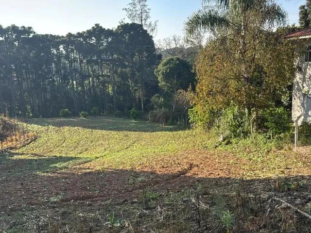 Imagem: Terreno Colônia Murici