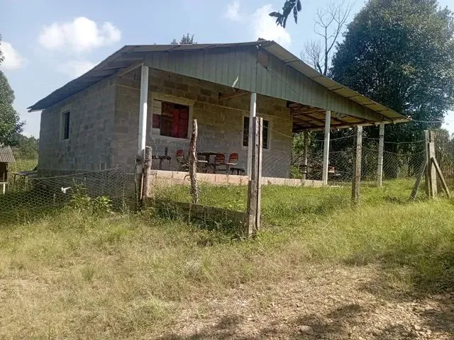 Imagem: Chácara em Mandirituba 170 Mil Reais