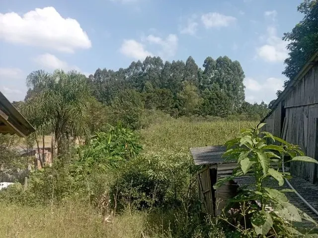 Imagem 4: Chácara em Mandirituba 170 Mil Reais