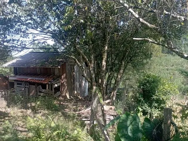 Imagem 6: Chácara em Mandirituba 170 Mil Reais