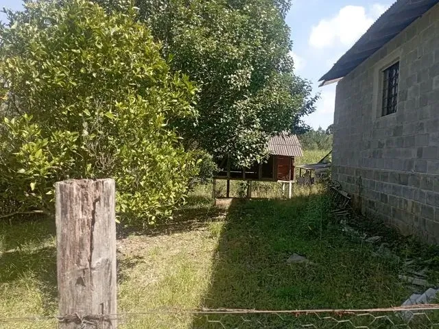 Imagem 7: Chácara em Mandirituba 170 Mil Reais