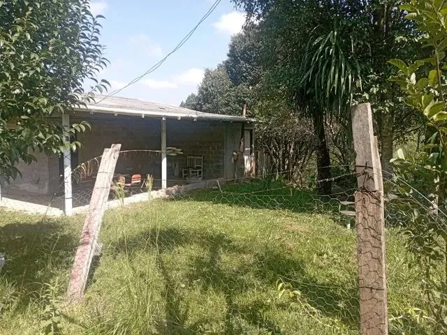 Imagem 8: Chácara em Mandirituba 170 Mil Reais