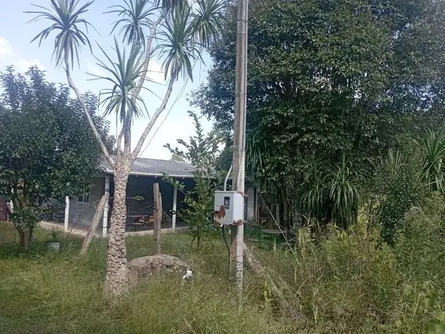 Imagem 9: Chácara em Mandirituba 170 Mil Reais