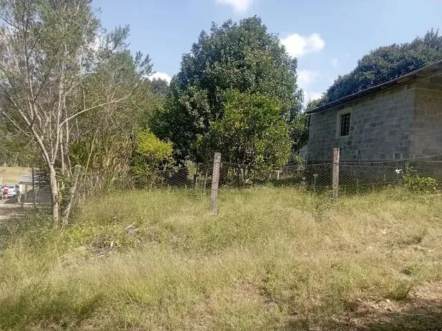 Imagem 10: Chácara em Mandirituba 170 Mil Reais