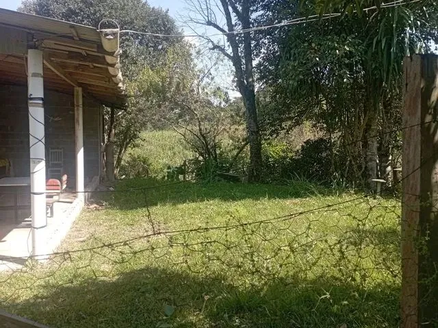 Imagem 11: Chácara em Mandirituba 170 Mil Reais