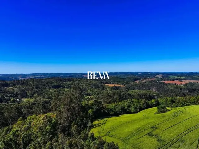 Imagem: Terreno para Chácara com 30.000 de Area