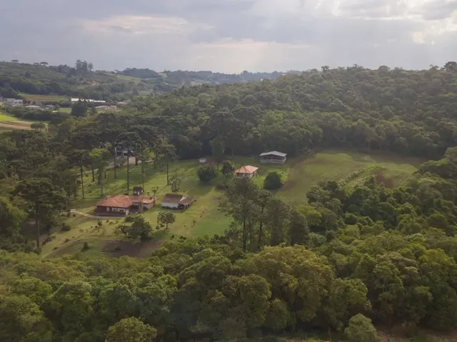 Imagem 1: Chácara em Colombo - Arya 1