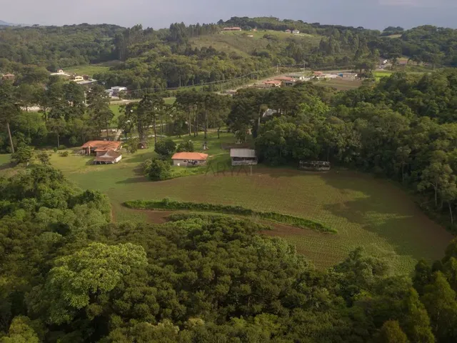 Imagem 2: Chácara em Colombo - Arya 1