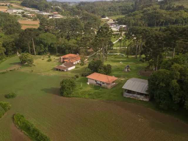Imagem 9: Chácara em Colombo - Arya 1