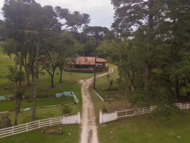 Imagem 10: Chácara em Colombo - Arya 1