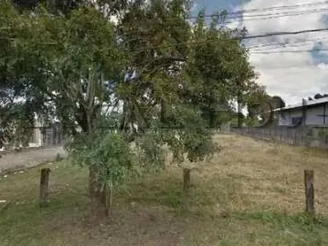 Imagem: Terreno À Venda em Pinhais, Vargem Grande