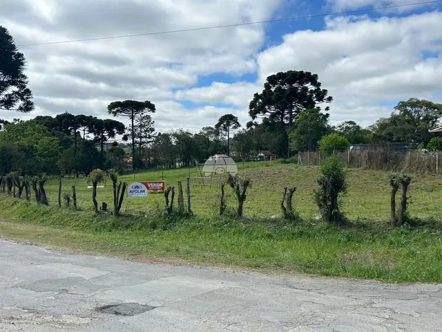Imagem: Vendas Terreno Campo Largo Pr