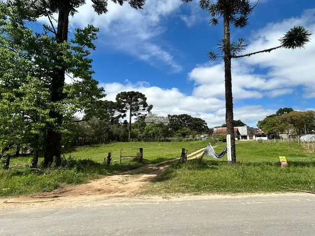 Imagem: Vendas Terreno Campo Largo Pr