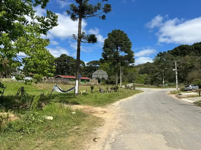 Imagem 6: Vendas Terreno Campo Largo Pr