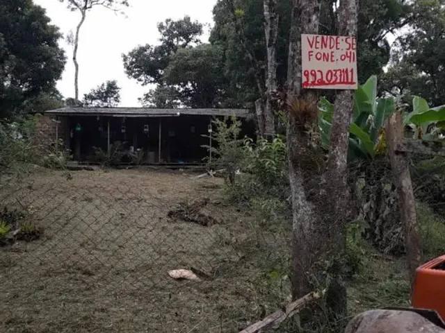 Imagem: Vendo Chácara na Br 277 em Sjp