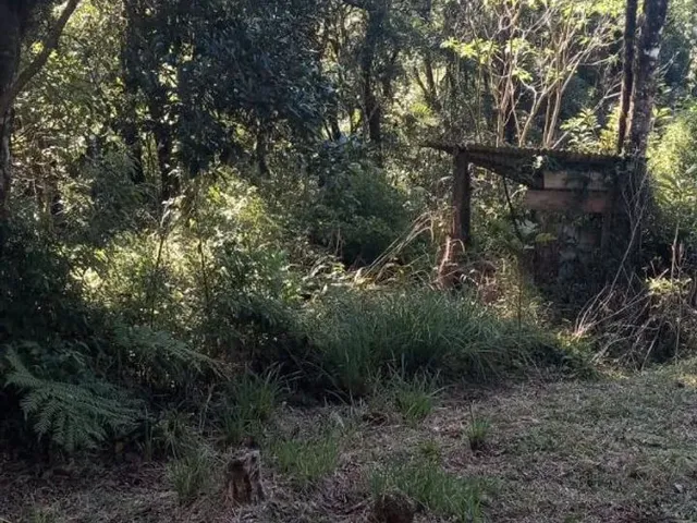Imagem 7: Vendo Chácara na Br 277 em Sjp