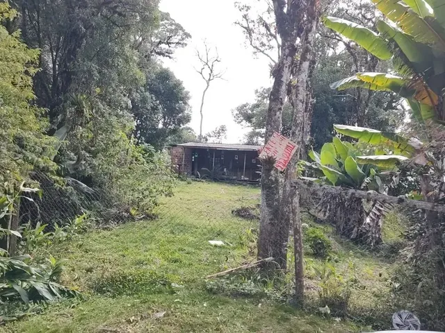 Imagem 8: Vendo Chácara na Br 277 em Sjp