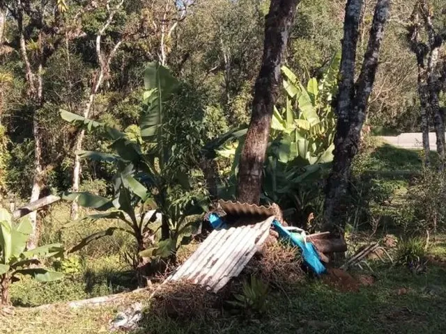Imagem 12: Vendo Chácara na Br 277 em Sjp