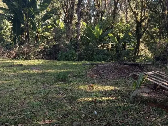 Imagem 2: Vendo Chácara na Br 277 em Sjp