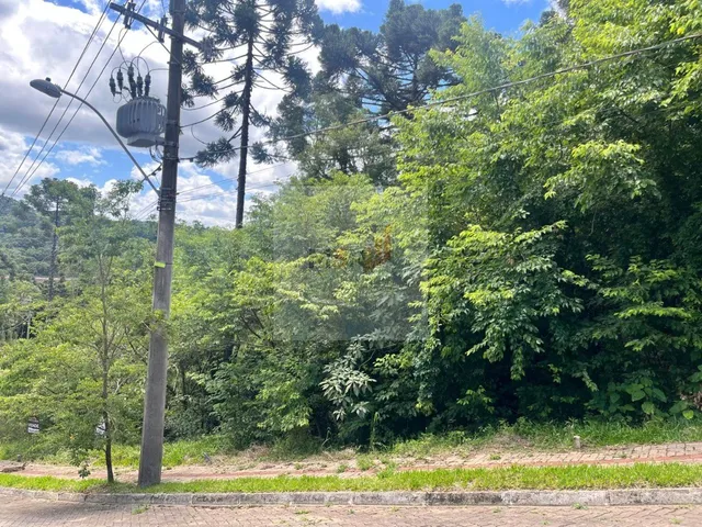 Imagem: Terreno à Venda Linha Imperial Nova Petrópolis